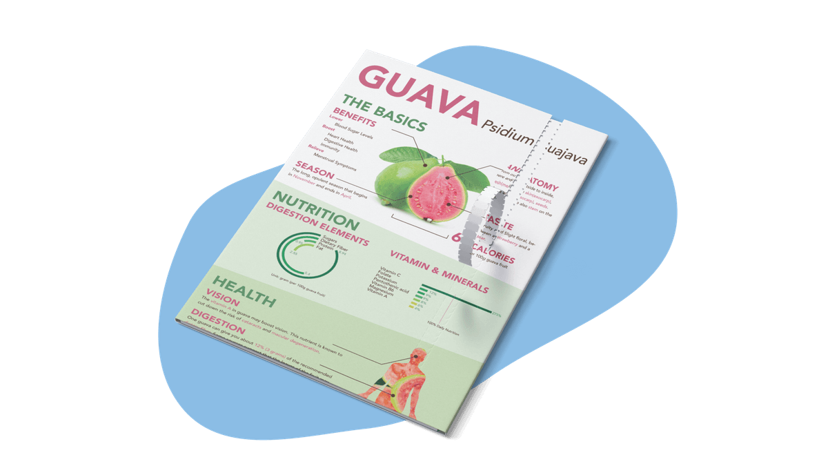 Graphic Design Showcase